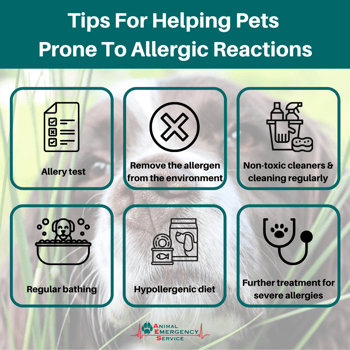 Allergic reaction prevention in pets