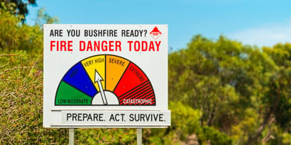 Prepare Your Pet Bushfire Plan