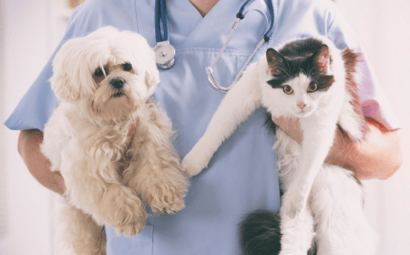 Coronavirus and Pets (facts owners need to know)