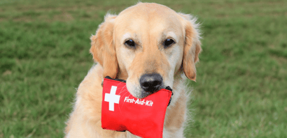 Pet First Aid Kit (a checklist of what to include)